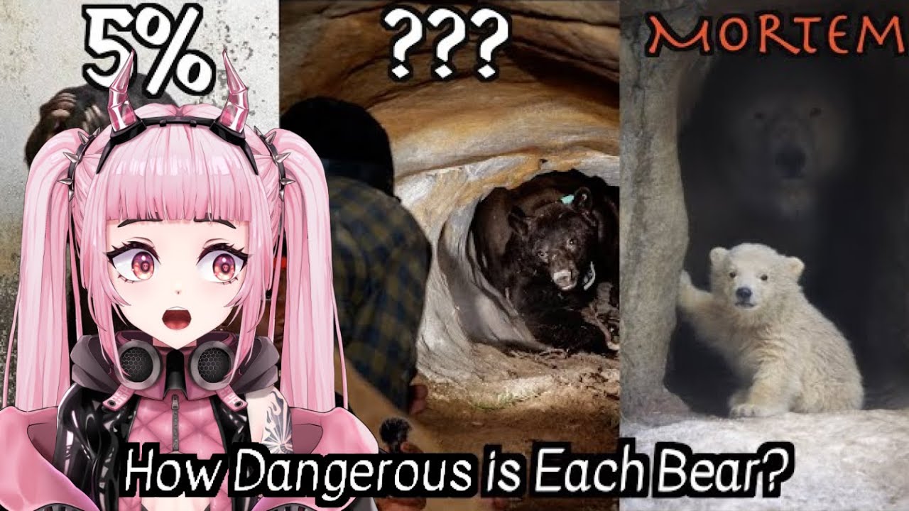 Every Bear And Its Chance Of Retiring You From Life / Pipi reacts to Casual Geographic
