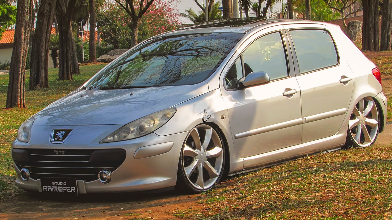 Peugeot 307 Aro 20   