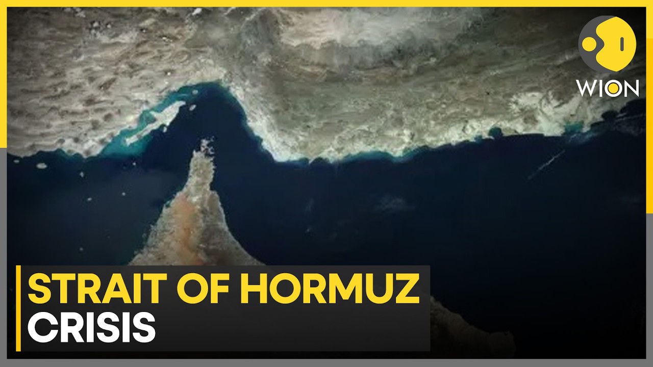 India To Relay On Its Own Efforts to Secure Oil Through Hormuz | WION NEWS