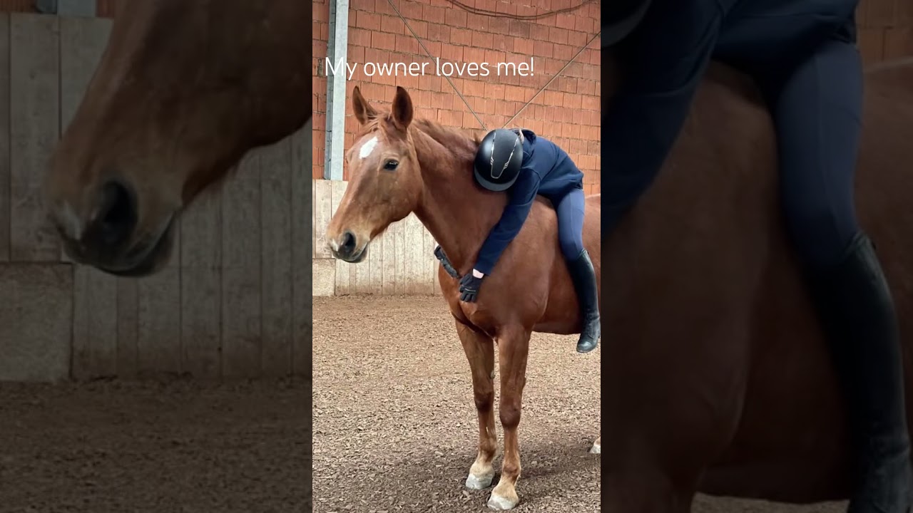 My heart breaks💔 #horse #equestrian #horseabuse #stophorseabuse #abuse #sadness #heartbreak #horsey