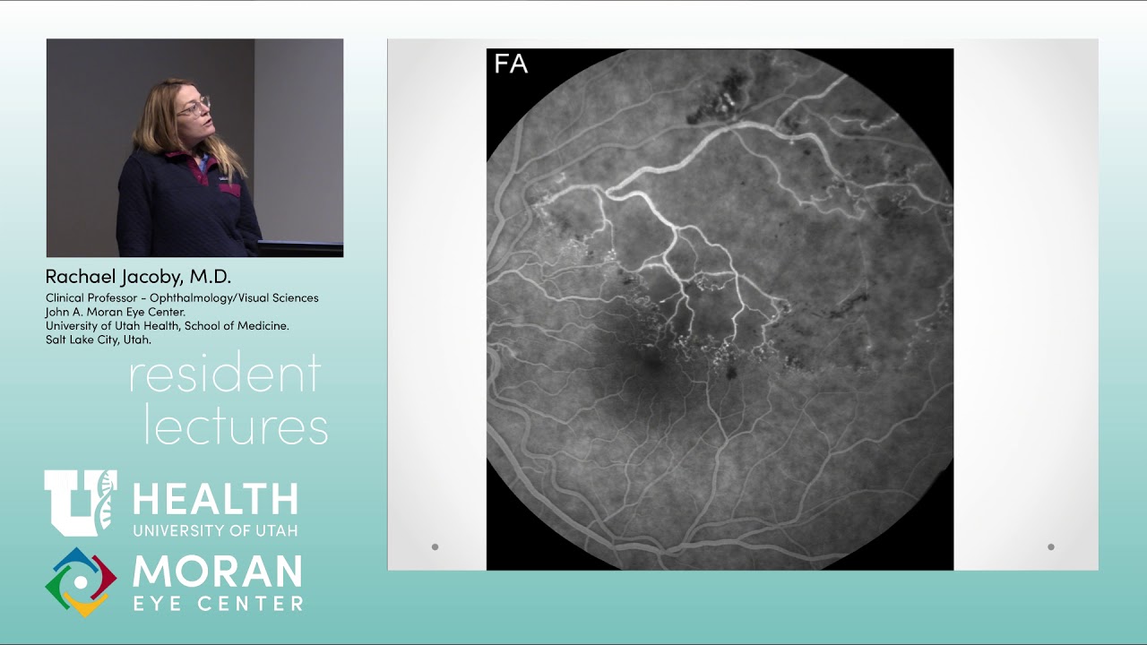 Retinal Vascular Disease: Part 1 of 2
