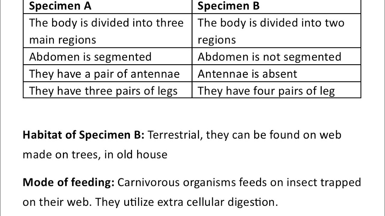 NECO 2025 BIOLOGY PRACTICAL PREPARATION