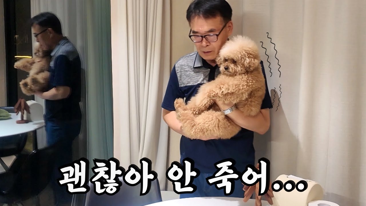 파리한테 물리면 죽는 줄 아는 우리 집 개