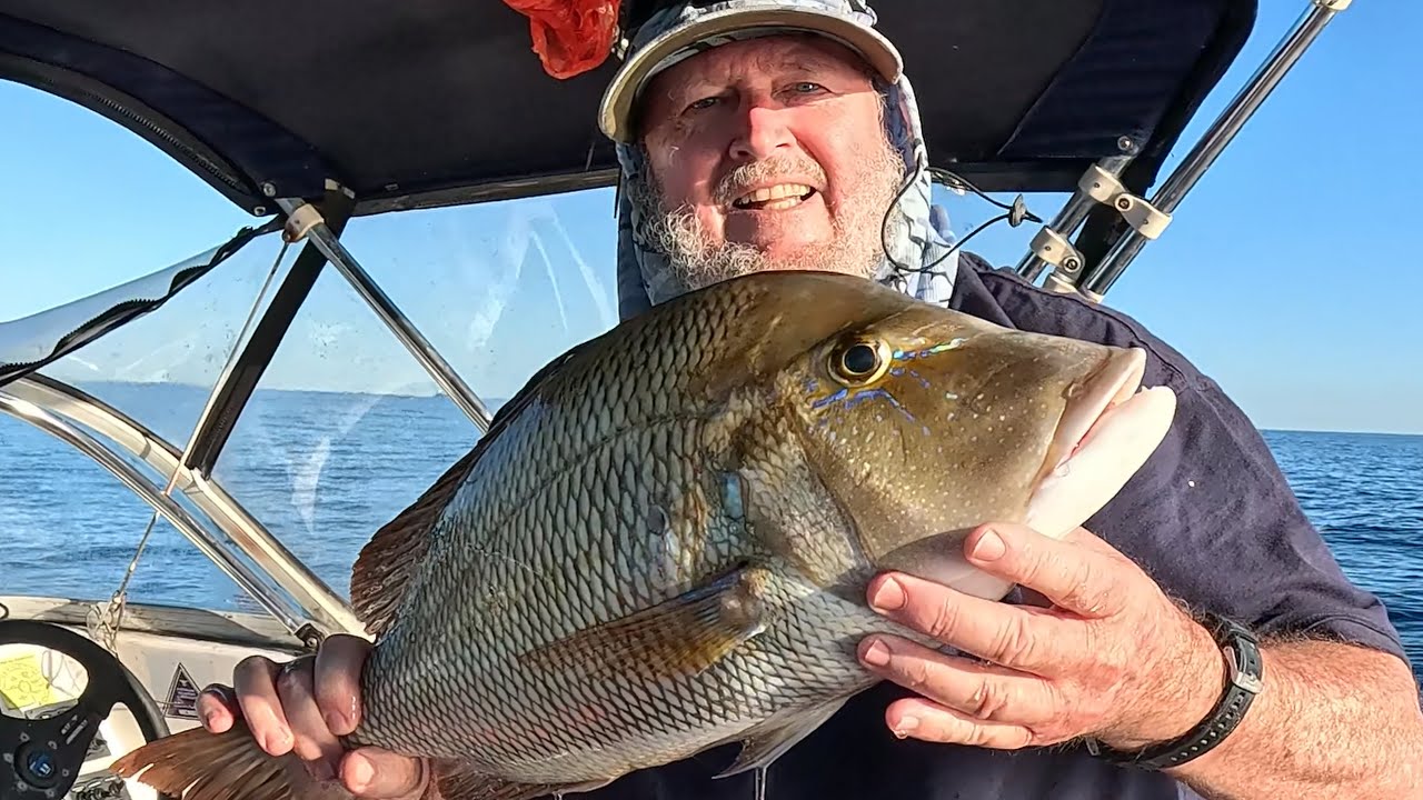 What's biting inshore reefs Sunshine Coast QLD July 2024. Fish on the chew.