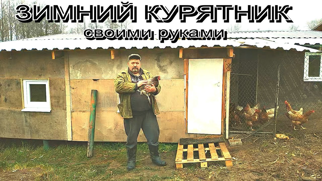 ЗИМНИЙ Курятник СВОИМИ РУКАМИ ДЛЯ НЕСУШЕК на 100 КУР