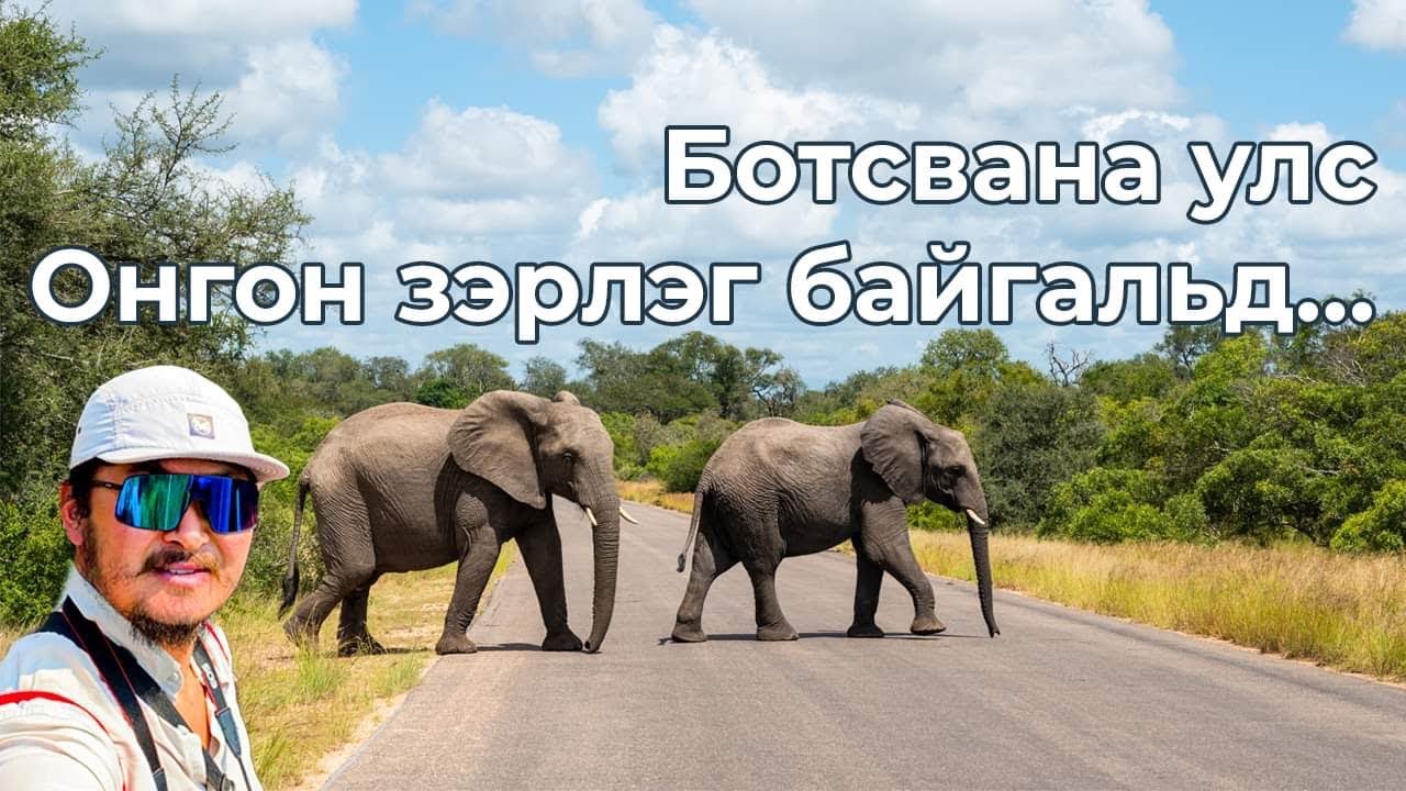 Би үүнийг л хийхийг хүссэн.