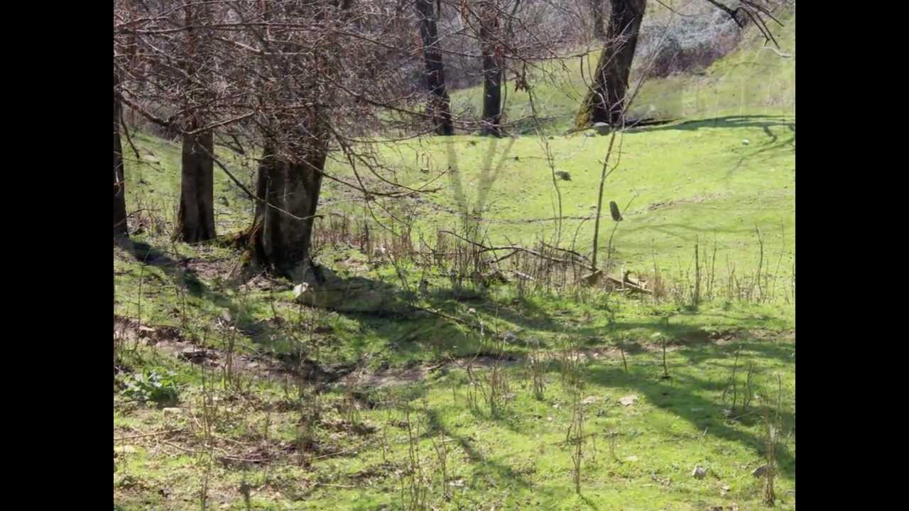 Passeggiata a Praforte