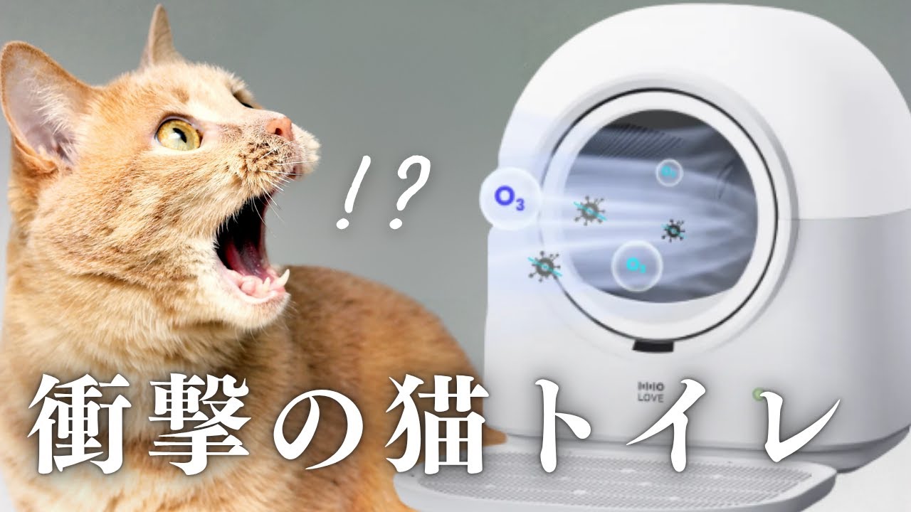 全自動のハイテク猫用トイレ『HHOLOVE 自動猫トイレ Pro』が便利すぎるので紹介します！【レビュー】