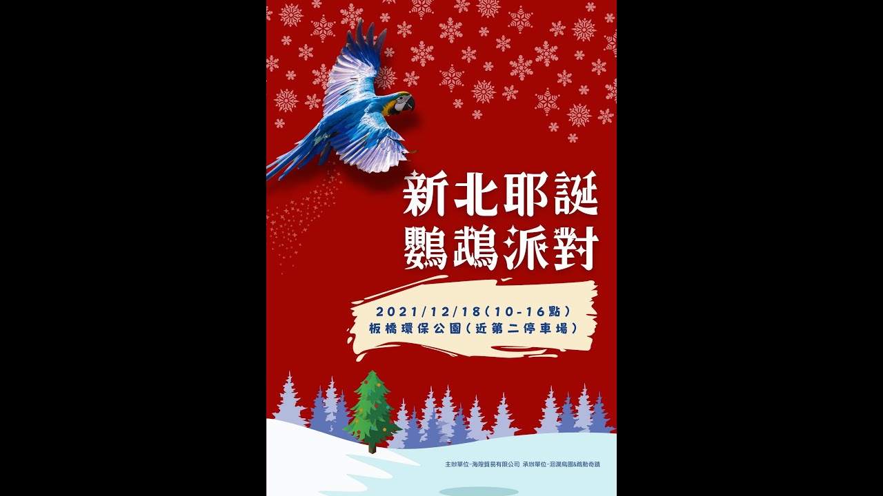 新北耶誕鸚鵡派對  活動開始