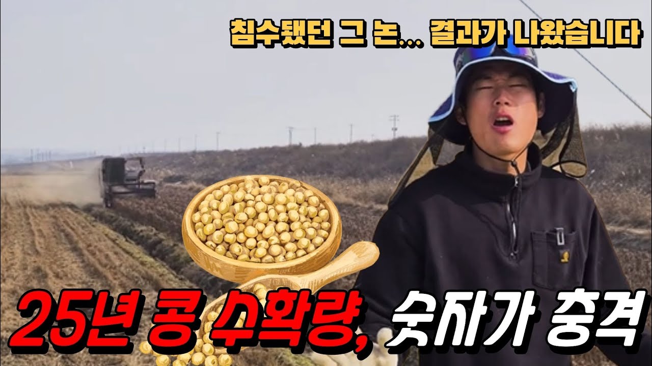 폭우로 피해 입었던 콩 농지..수확 결과는???