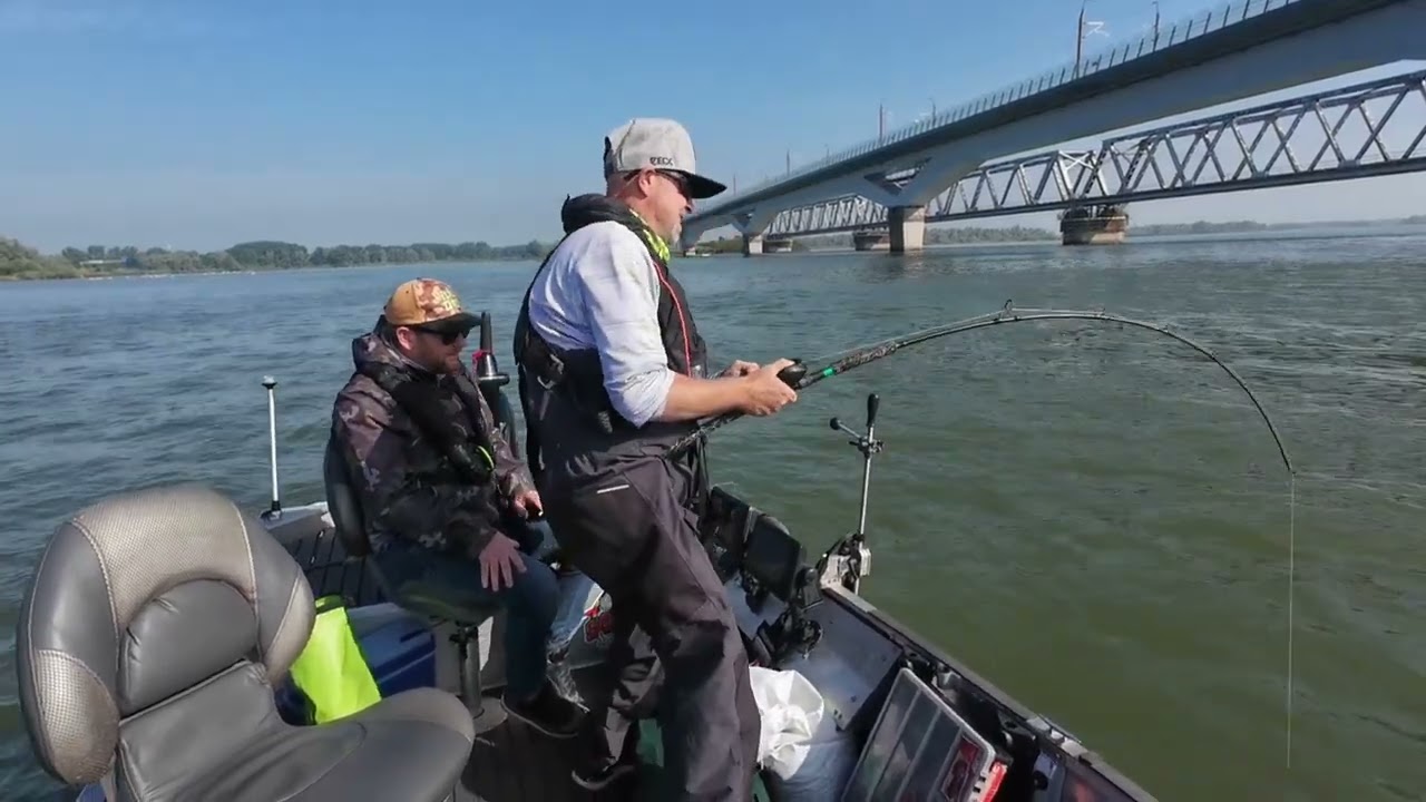 VISSEN OP MEERVAL IN NEDERLAND(FISHING FOR CATFISH IN THE NETHERLANDS)