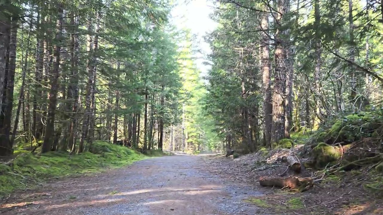 Kalama Falls Trail service road hike + advice - Kalama Falls, Washington 1