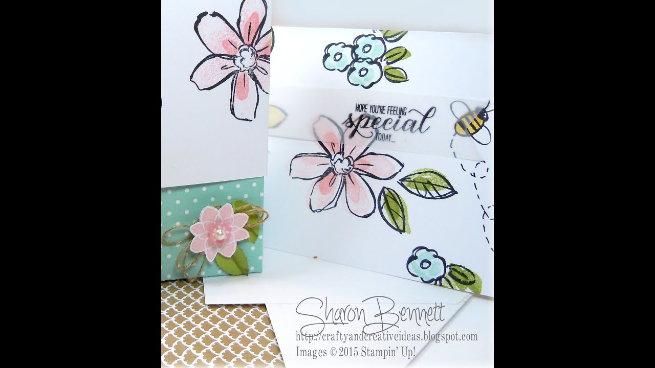 Stationary Card Set with Custom Envelopes and Liners CLASS 3