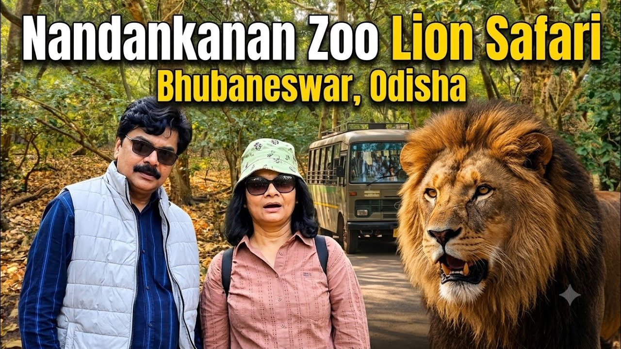 Nandankanan Jungle Safari: What They DON'T Tell You