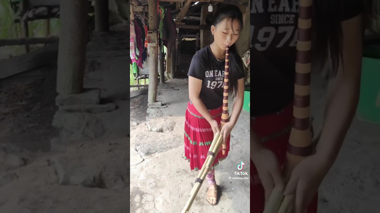Tu muam tshuas qeej zoo Cia YouTube tso npe hmoob Pom os Thov txim 