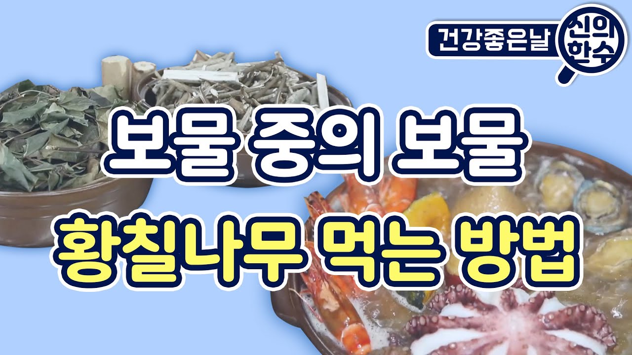 [#신의한수] 불면증 해소! 면역력 향상! #황칠나무 의 또 다른 효능? #해신탕 #황칠차 #황칠진액 [건강좋은날] MBC 경남 201007 방송