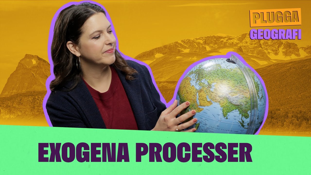 Endogena processer | Plugga geografi