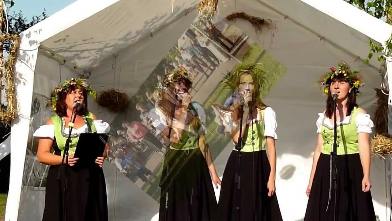 Joninės Gotlybiškiuose 2013