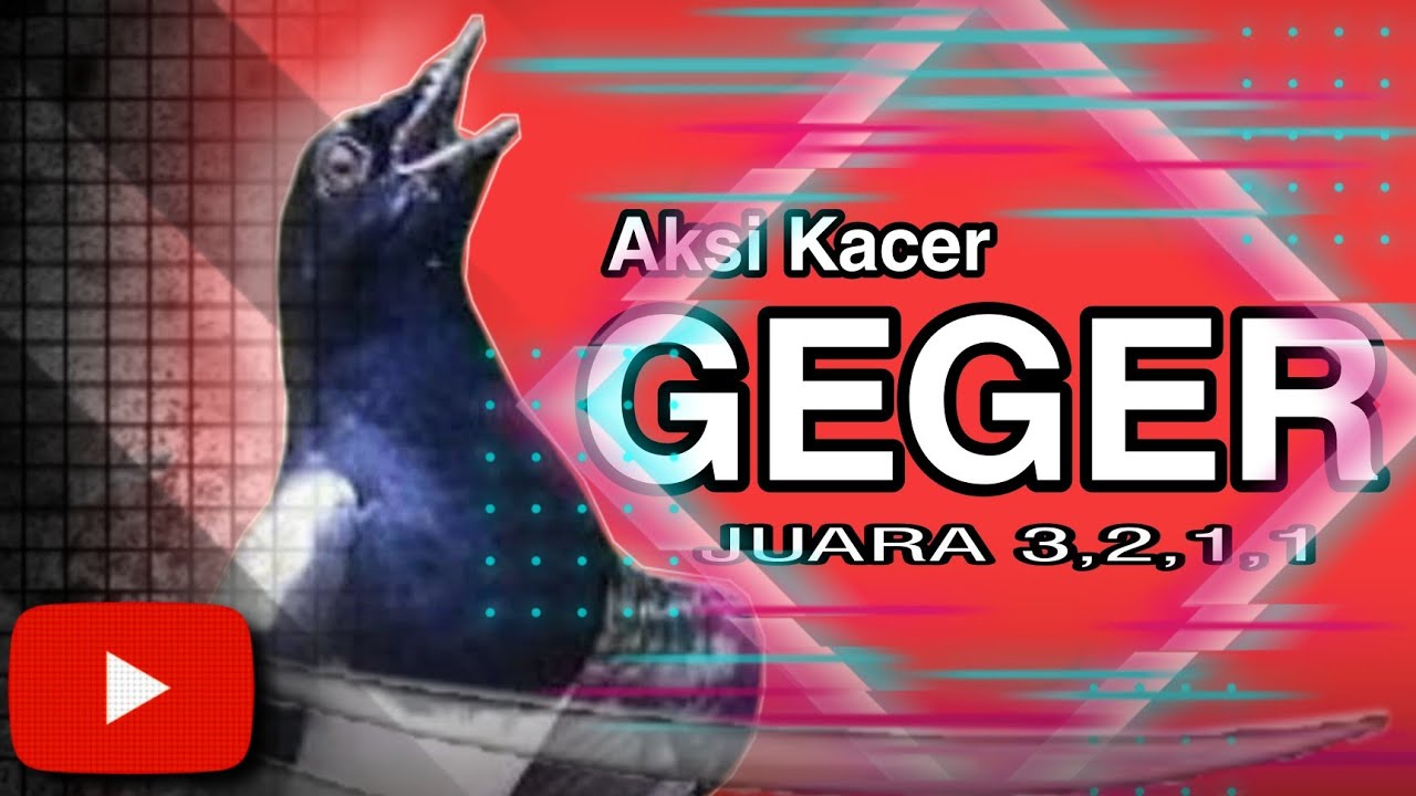 Aksi Kacer GEGER 4 Sesi Juara Terus