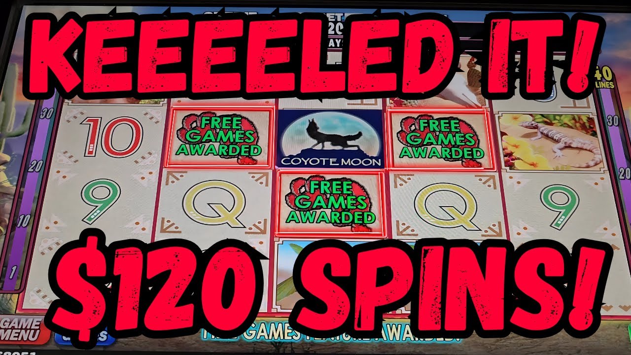COYOTE MOON FOR THE WIN!!! HUGE BETS MEANS HUGE WINS ..... RIGHT?