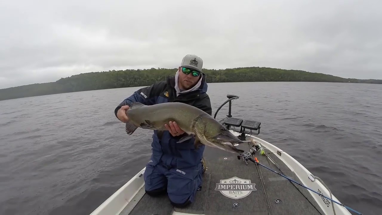Casting For Early Fall Muskies
