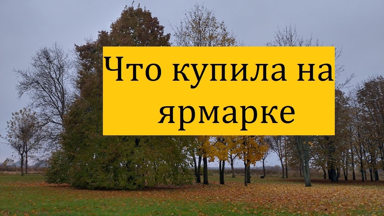Что купила на ярмарке