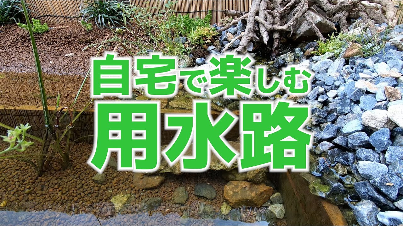 【ビオトープ定点撮影】自宅で楽しむ用水路　定点撮影その2　～ビオトープを作る。〜【作業用】