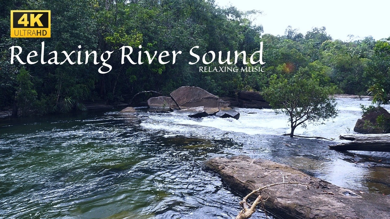 River Water Sounds in Forest - Nature Ambience for Sleep & Focus