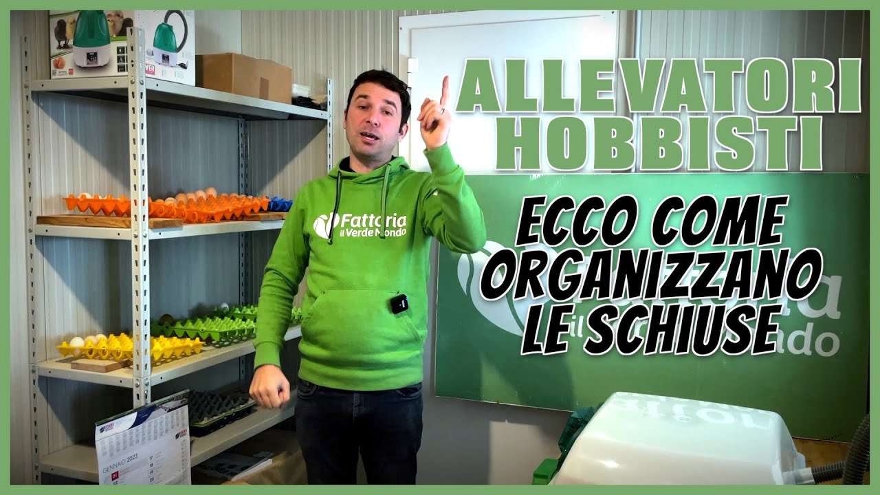 Organizzare la stanza per incubare? Noi abbiamo fatto così!