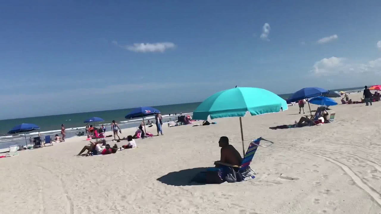Coconuts on the beach // Orlando Florida //