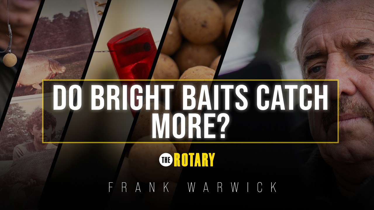 Frank Warwick on the Origin of Bright Hookbaits | The Rotary