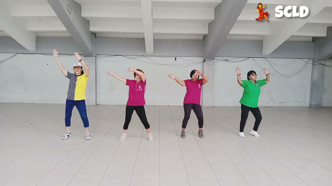 EveryBody Dance || Absolute Beginner 