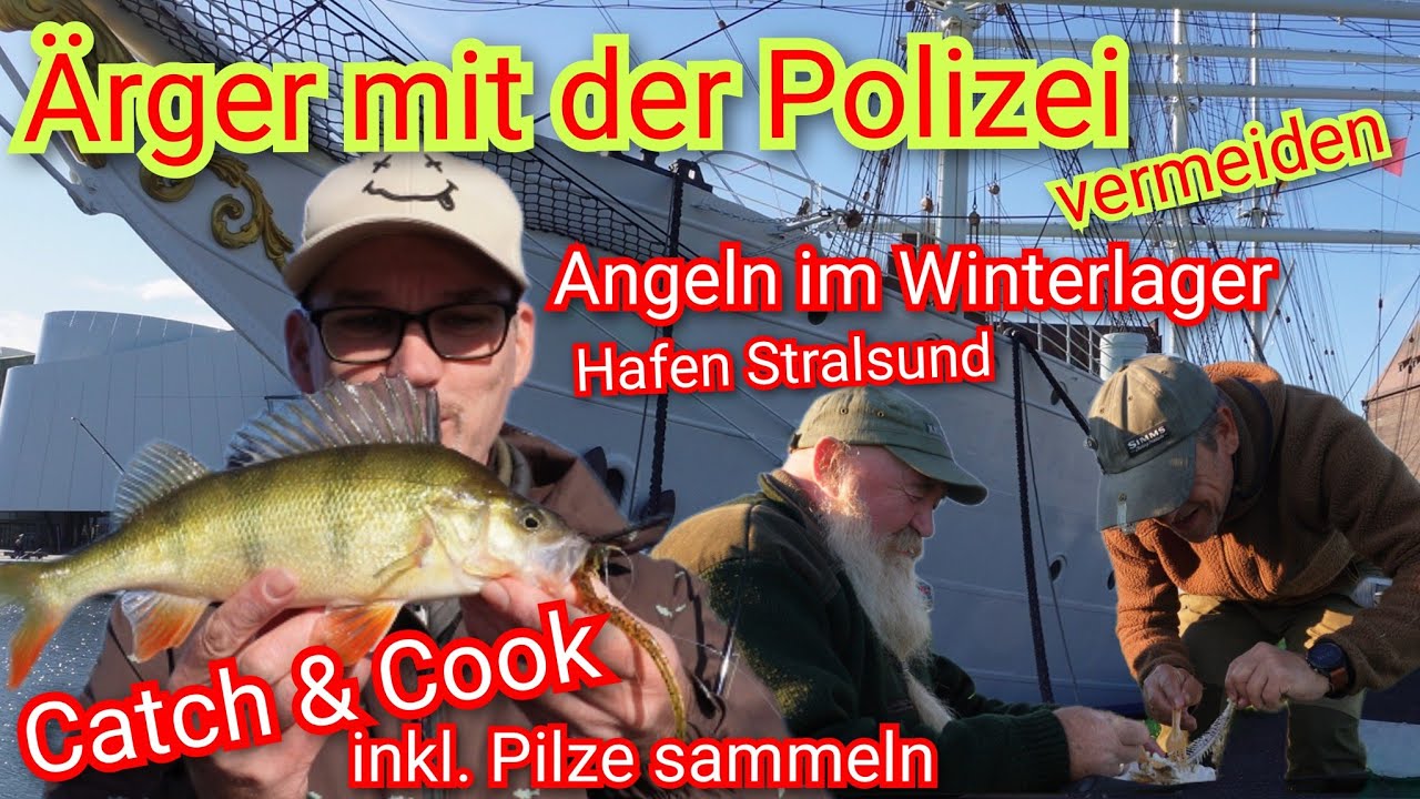 Catch & Cook direkt in der Natur - wir verwerten die Barsche & sammeln Pilze - #BARSCH & #PILZE