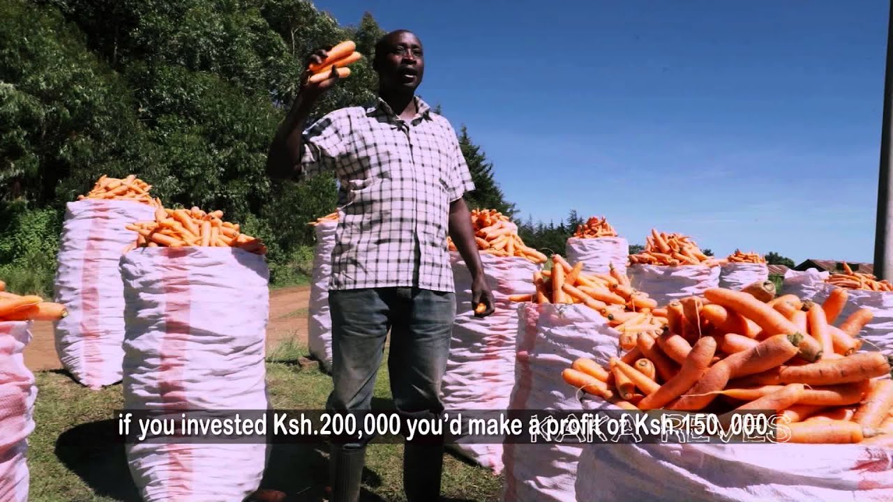 Carrot Farmer from Kenya