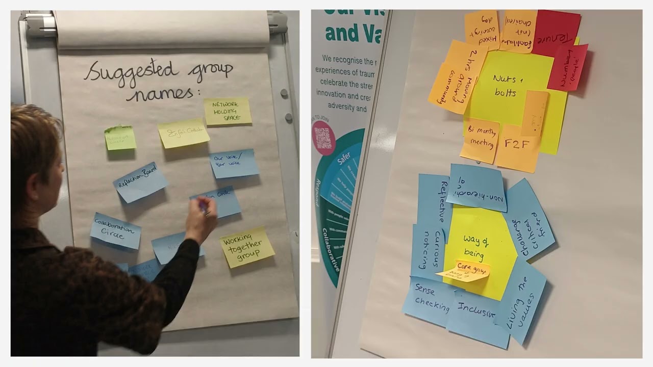 Trauma Network Governance Member Engagement