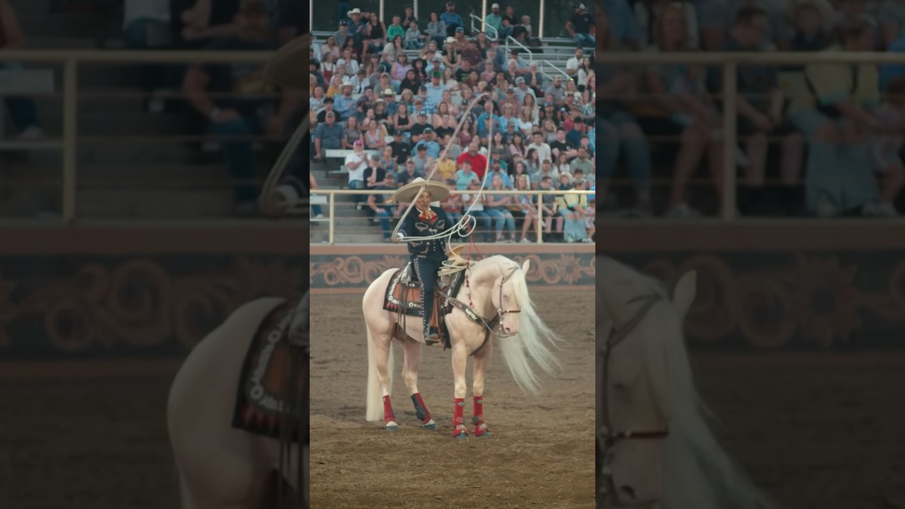 Mexican Cowboy 🤘 #rodeo #roping #mexico