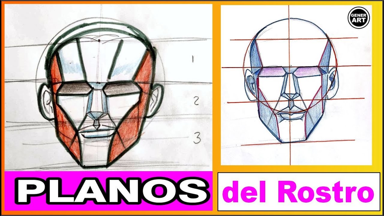 Planos del Rostro - Paso a Paso