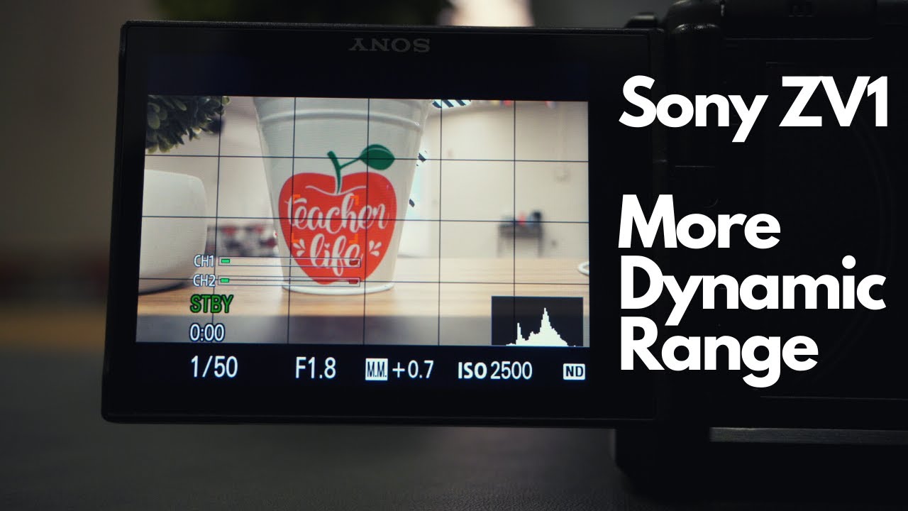 SONY ZV1 MORE DYNAMIC RANGE (ETTER + CINE2)