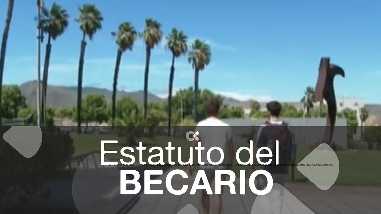 Estatuto del becario