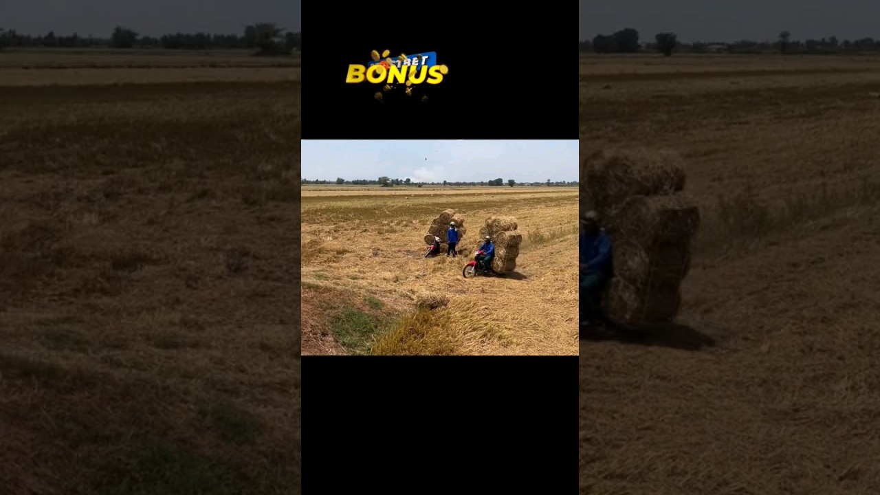 🇺🇿O'zbekiston: Shoxrux Akang kanaliga obuna bo'ling zerikmaysiz gapimga Javob 🤣