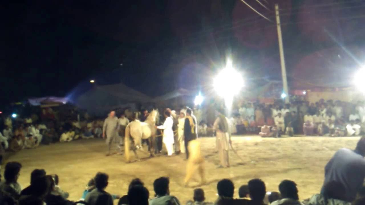 Ghora Dance Mela Shah Khalil Sherazi