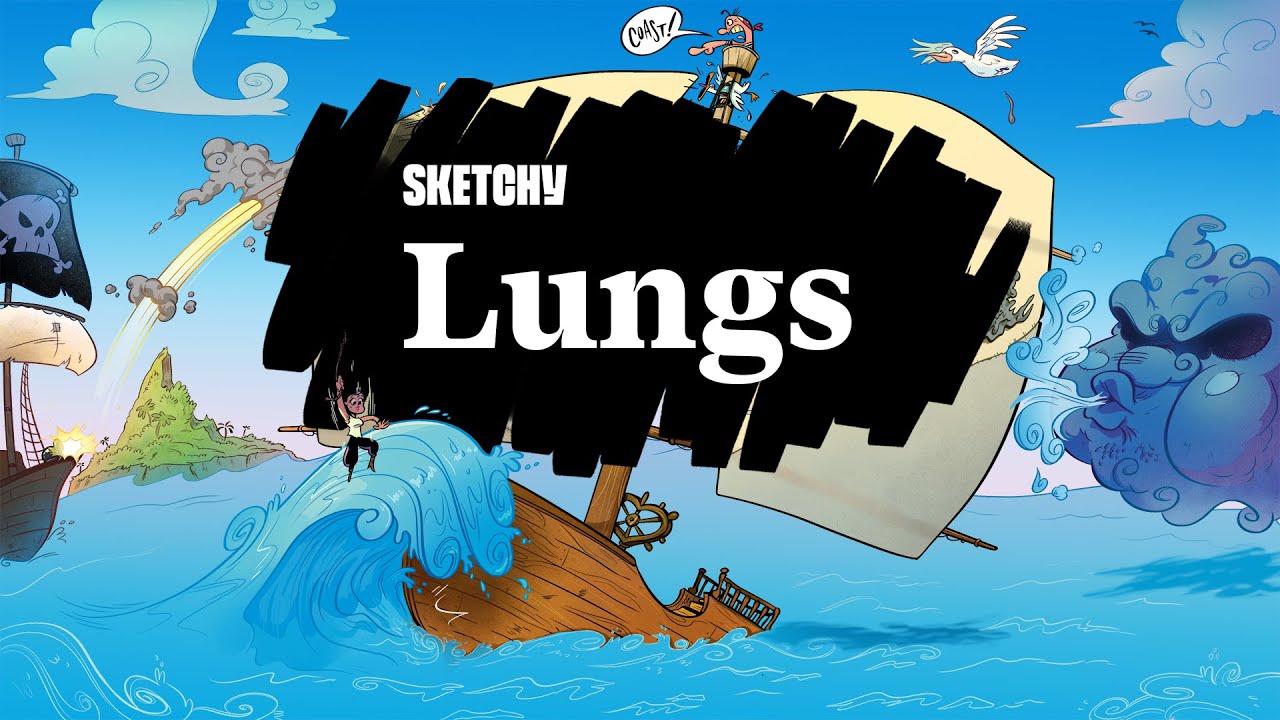 Anatomy Lesson: Lungs (Part 1) | Sketchy Medical | USMLE Step 1