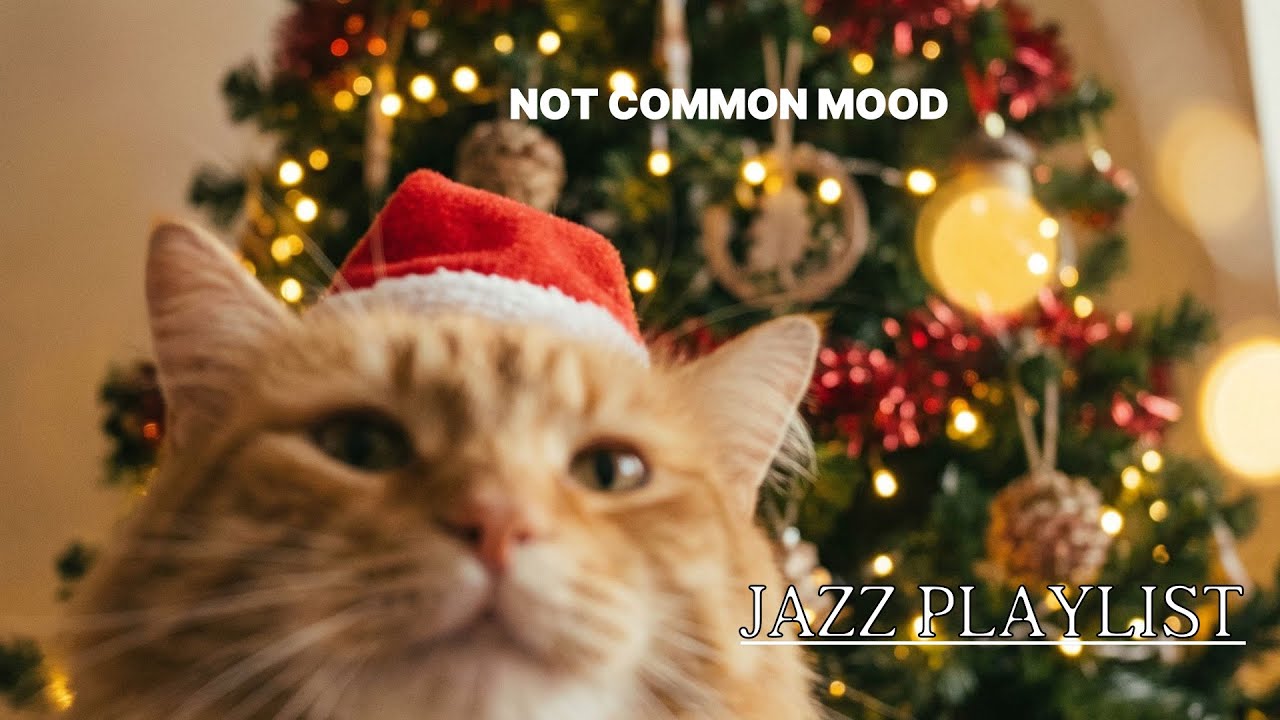 Cozy days: Jazz Pop & Frito Feet playlist