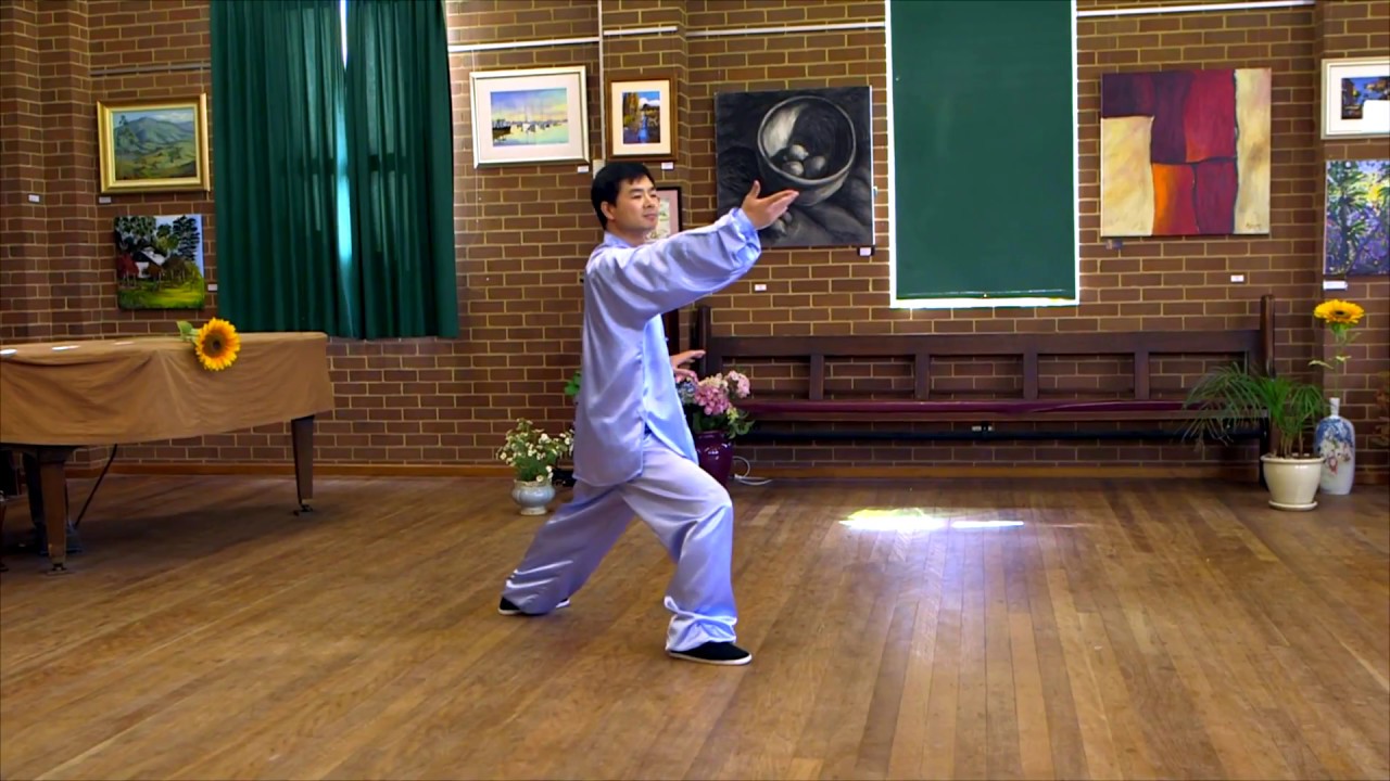 Tai Chi 40 Form Back View with Instructions