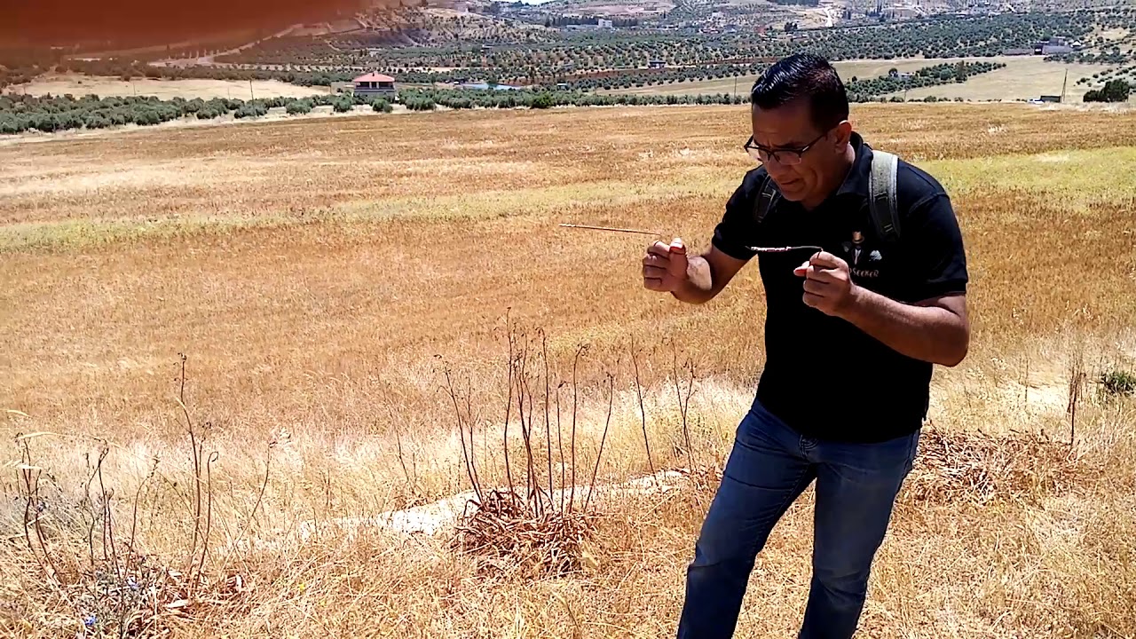 كملنا الفحص وطلع الموقع مليان مواقع فيها ذهب اشي غريب جدا وحضاره غنيه جدا جدا