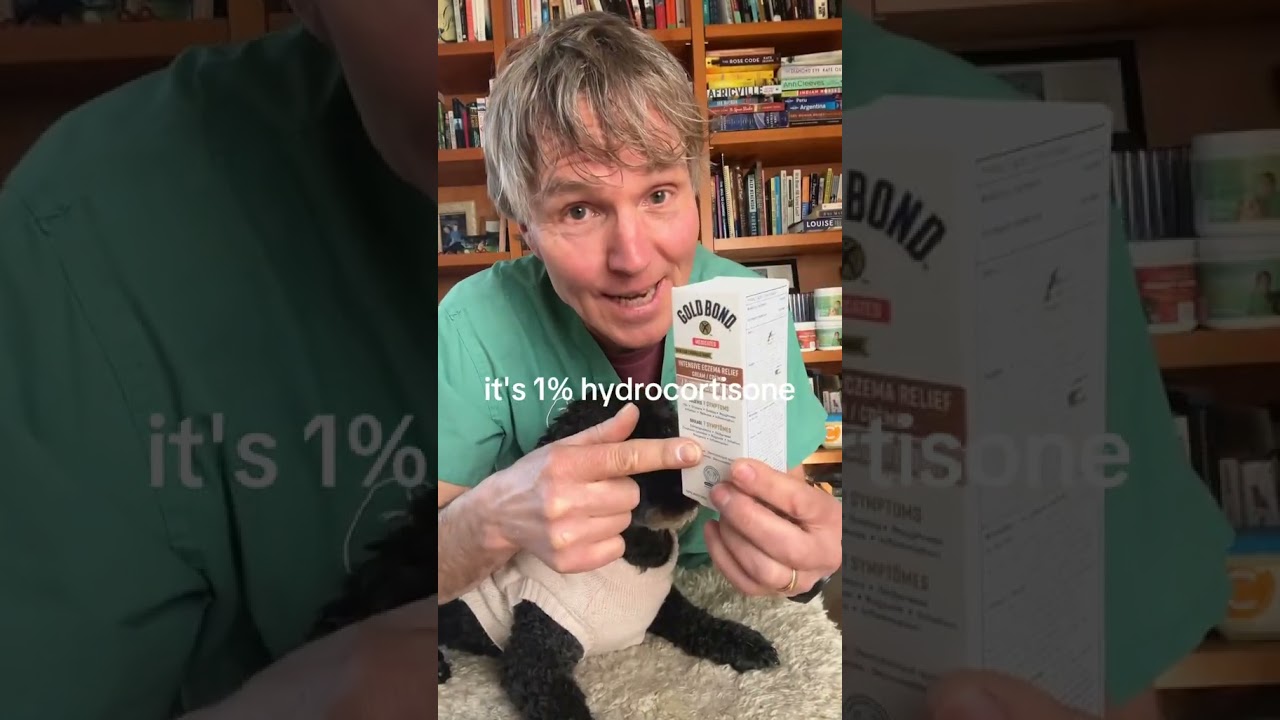 Help your dog with paw licking issues!