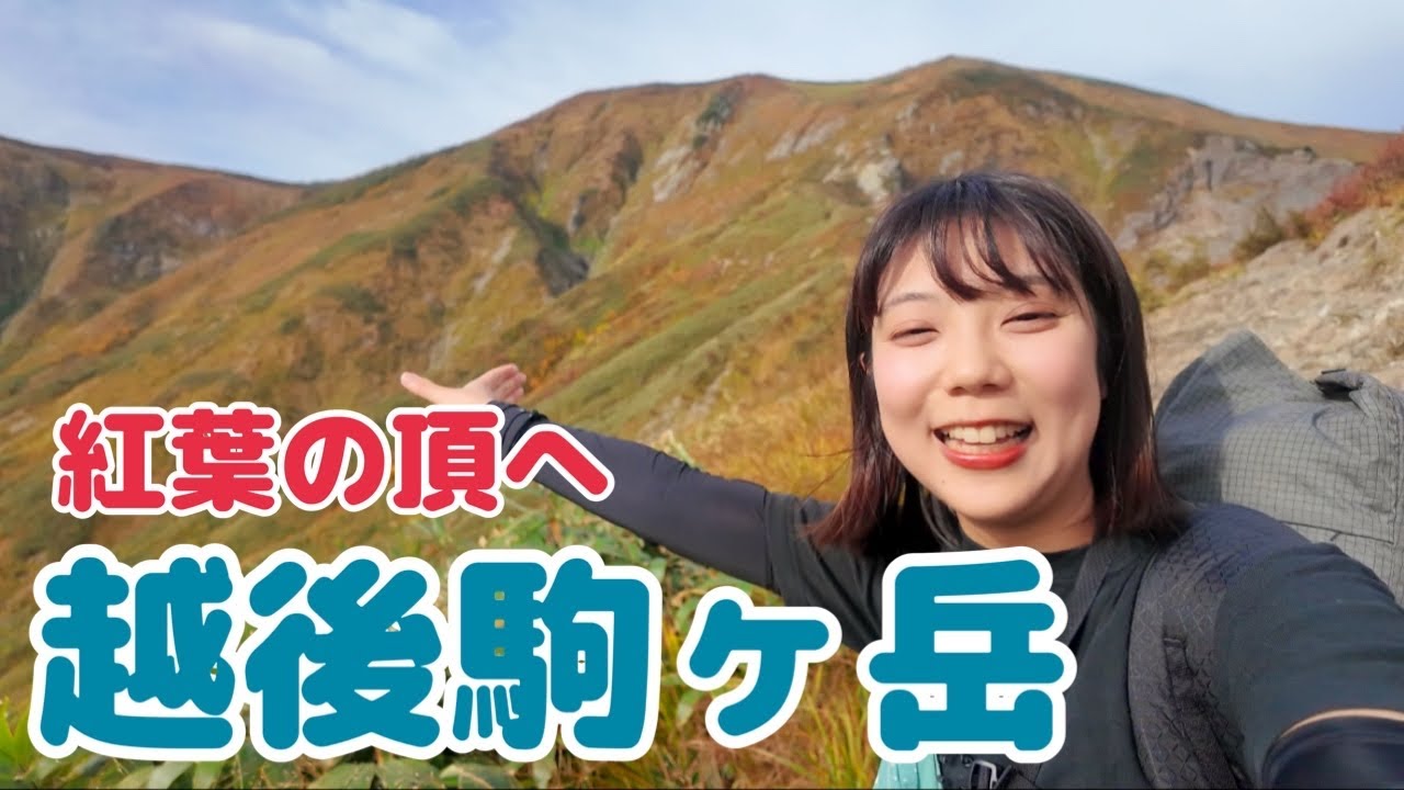 【紅葉登山】黄金色に染まる越後駒ヶ岳へ｜秋の名峰を歩く