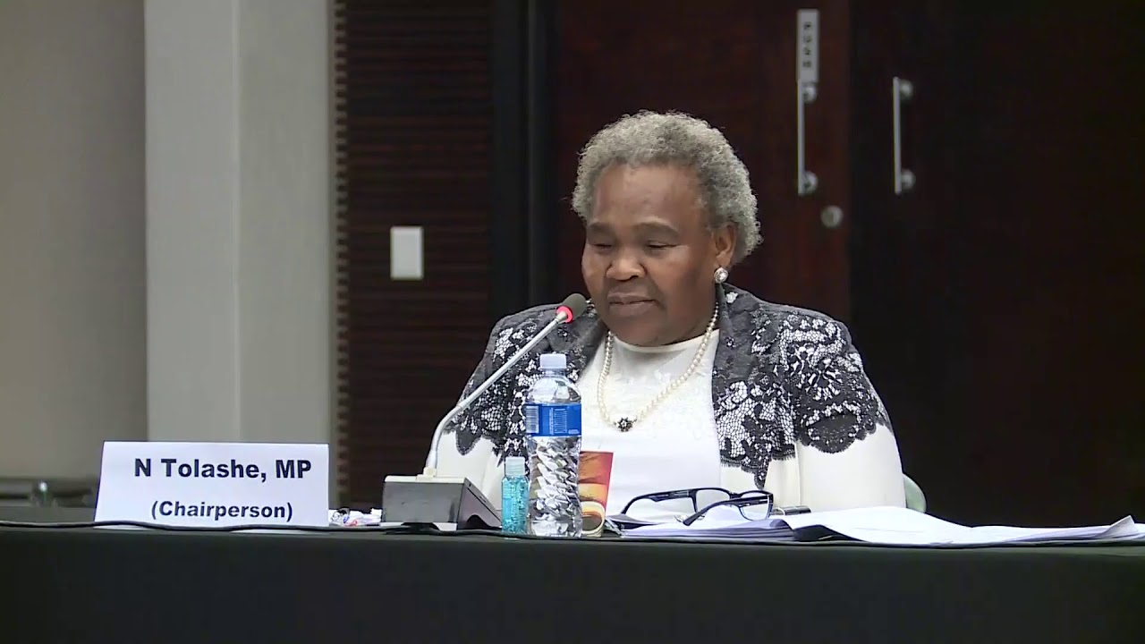 Ad Hoc Committee on the Appointment of the Auditor-General 20 August 2020
