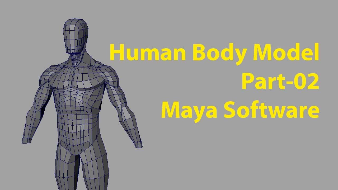 Male Human Body Modelling Tutorial with Anatomy in Maya Software Part-02