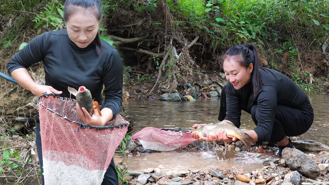 Harvesting Carp Fish Daily | From Peaceful Ponds to Selling Fresh Fish at the Market